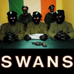 Swans - Screen Shot [swans fucking remix]