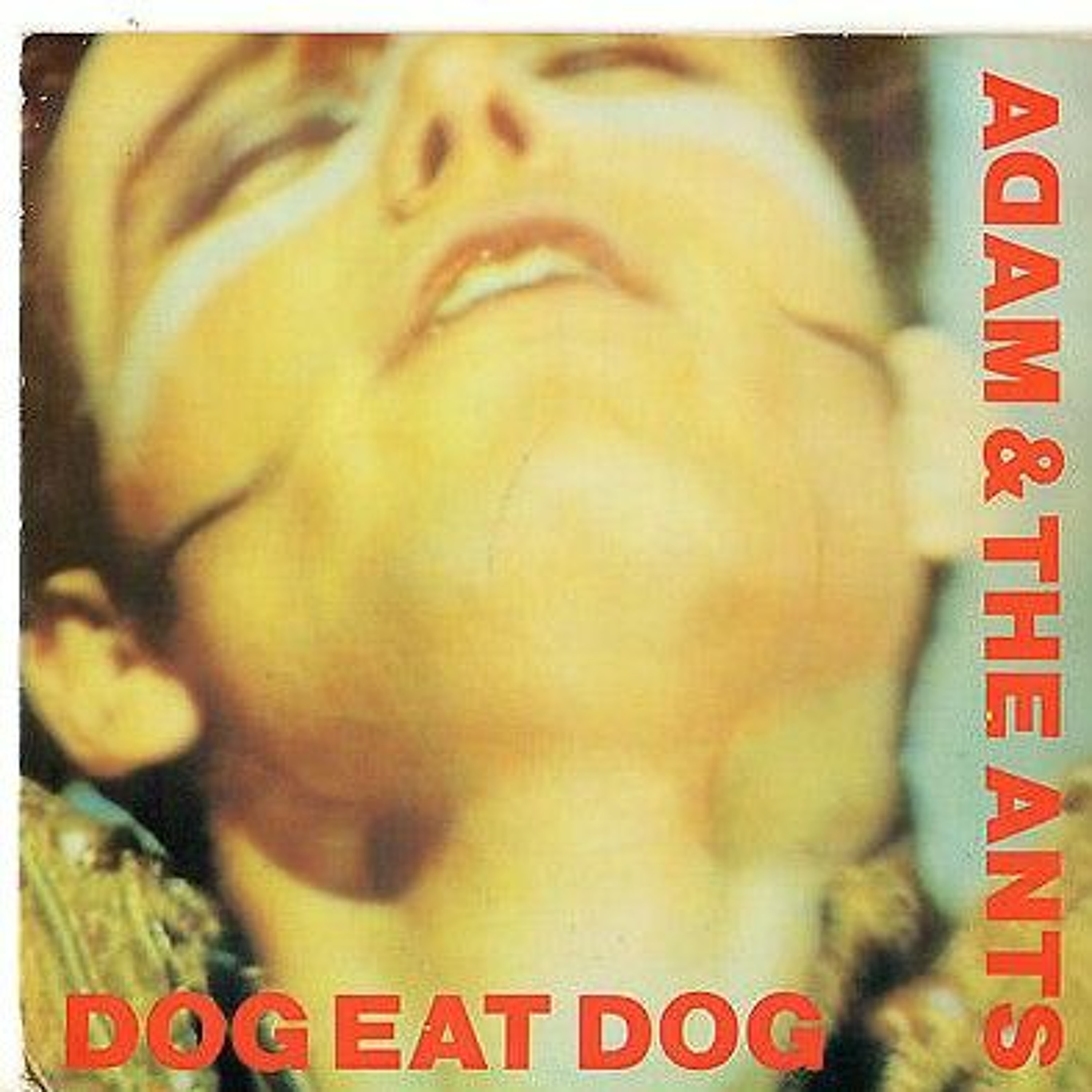 Dog Eat Dog (Adam and the Ants cover) episode artwork