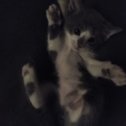 cupsize - проснулся