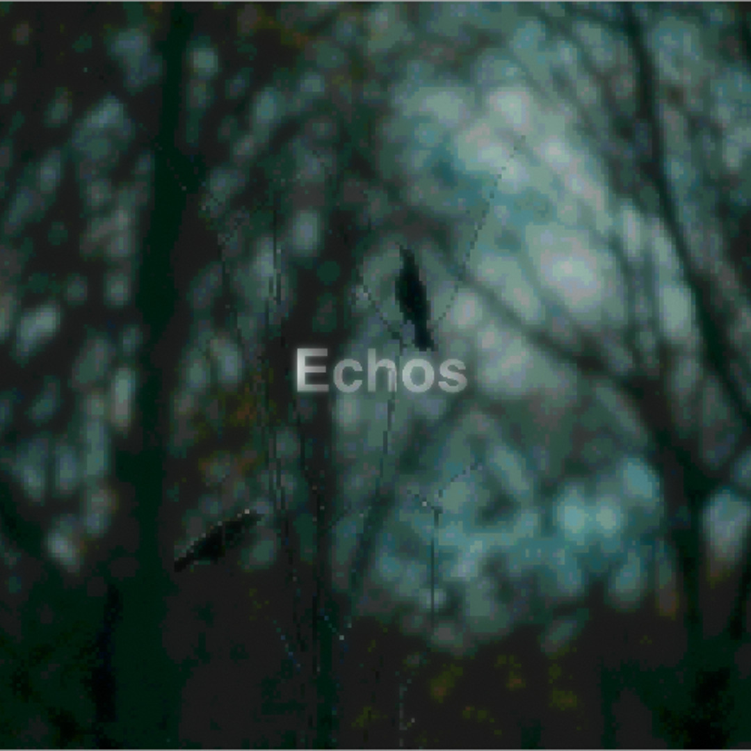 Stream Echos by {:?MANGOCRANE?:} | Listen online for free on SoundCloud