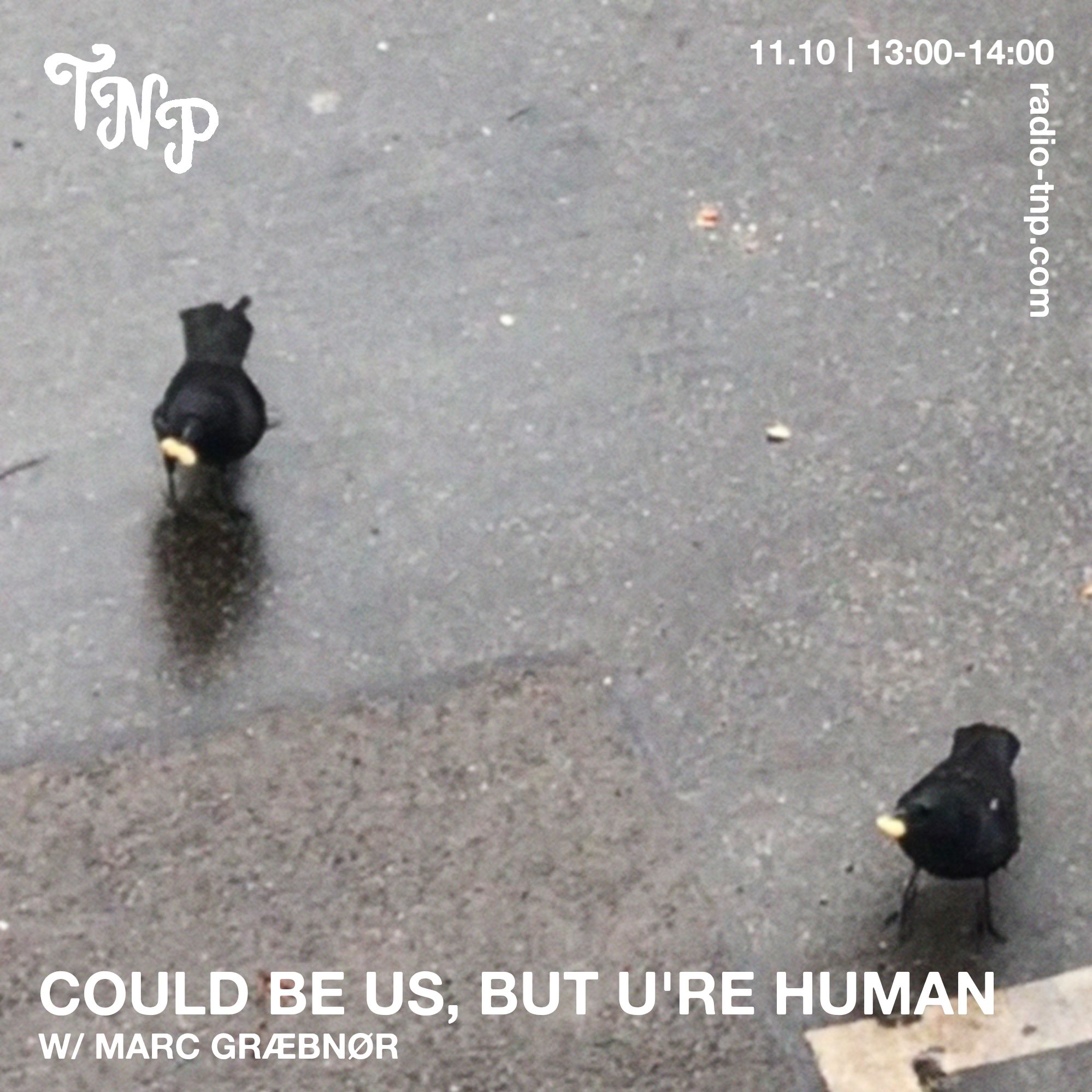 Could be us, but u're human w/ Marc Græbnør