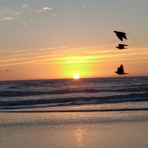 Psyom - #1 Tech house Set 66m