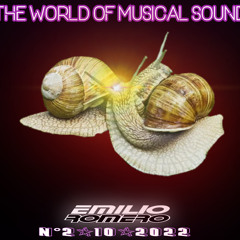 THE WORLD OF MUSICAL SOUND (N2-10-2022)