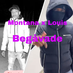 Montana x Louis - Begåvade