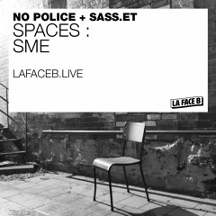 SPACES #11: SME