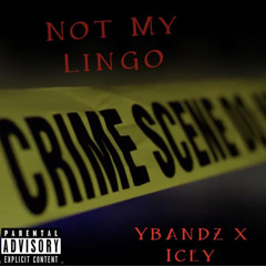 Not My Lingo - Ybandz X Icey (Official Audio)