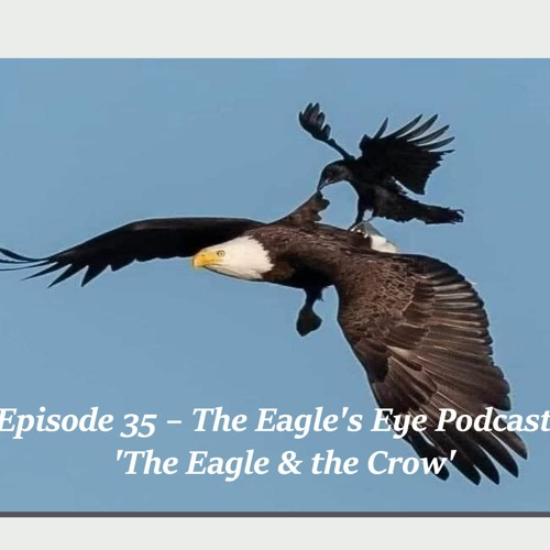 Stream The Eagle Eye Podcast  Listen to podcast episodes online for free  on SoundCloud