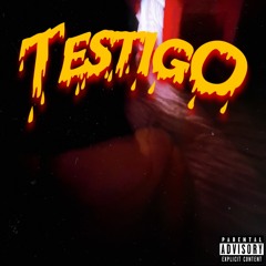 Testigo