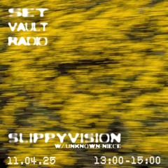 11.04.25 - SLIPPYVISION w/ unknown niece