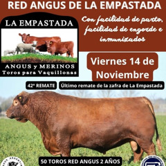 Javier Filliat - Toros de La Empastada