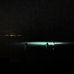 piccolo - un’altra notte di miele