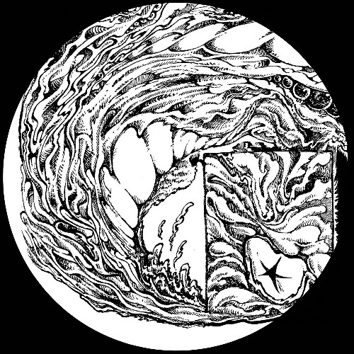 Toby Ross - Lifeforms