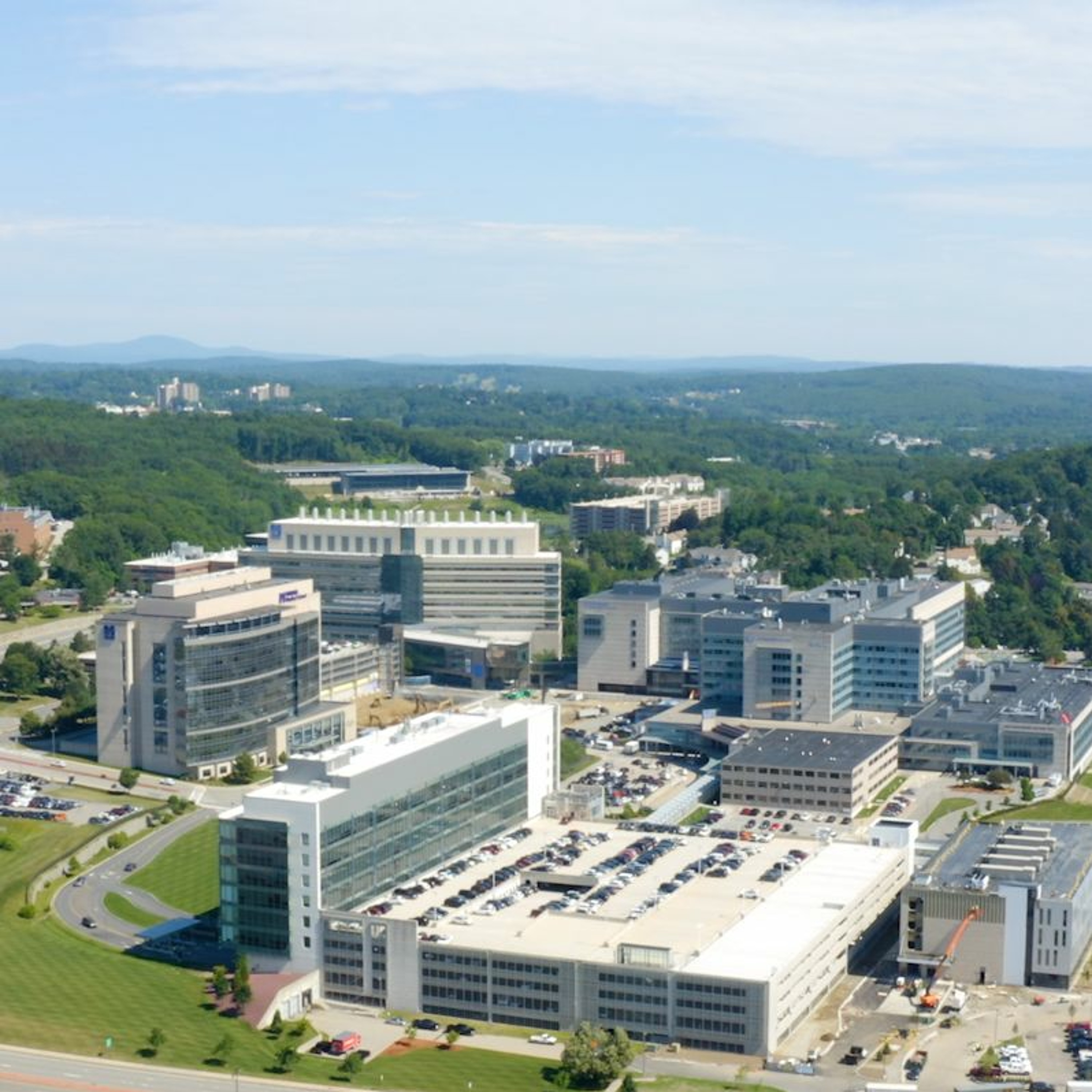 Voices of UMass Chan