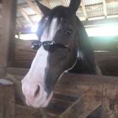 geht dahi mit den ketamine