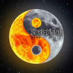 SurfMoon - Yin & Yang