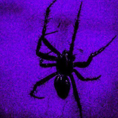 big poke (one take (prod. oxxy)