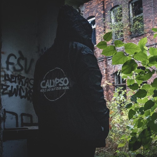 Calypso - Comes And Goes (Remix)