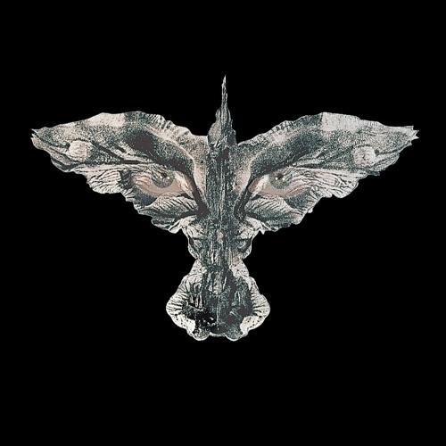 Perry - Crows In The Trap !  (Prod. schell)