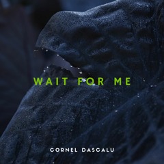 Cornel Dascalu - Wait For Me