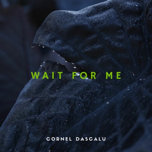 Cornel Dascalu - Wait For Me