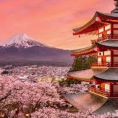 Dream vacation to Japan