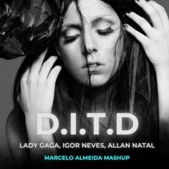 Lady Gaga, Igor Neves, Allan Natal - Dance In The Dark (Marcelo Almeida Mashup)