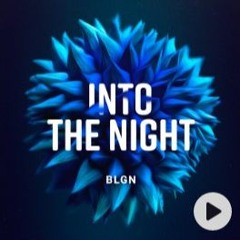 INTO THE NIGHT by BLGN