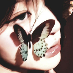 Zo - L'amour ou la guerre