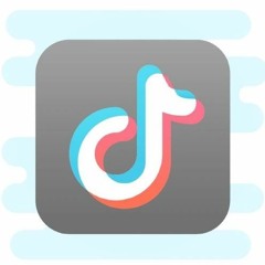 Bad Bitch But Her Attitude Nasty (Tiktok Remix)