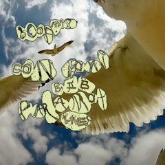 boofmix002_conpani_b2b_paramat_live@boof8