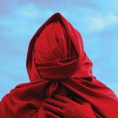 5 SDPU NOT SCIENTISTS RATTLESNAKE