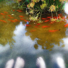 Stalker Song (Rohan's mix)