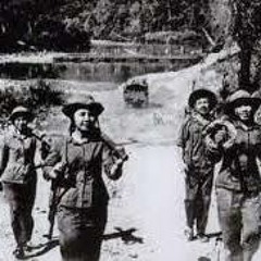 nhạc đỏ gõ mỏ cali