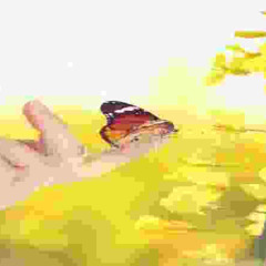 р ι α у ѕ т α т і о п ⓷⓪⓽⓽ असुब बवना (▢△⊚✕)