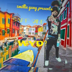 SAPP9INE-WYD
