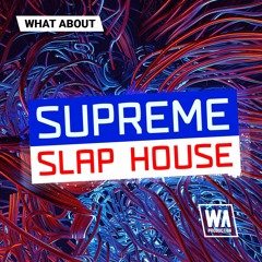 Alok Style Ableton Templates, Drums & Serum Presets | Supreme Slap House