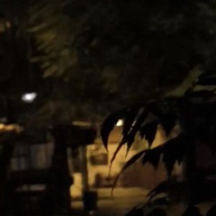 لو راجل استحمل امراضي النفسيه