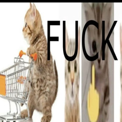 Reading - 22polfa X Baziinga X R8tsi