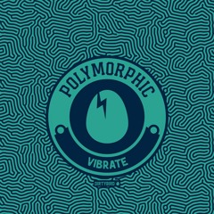 Polymorphic - Vibrate [BIRDFEED]