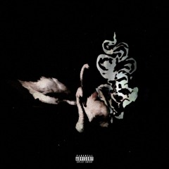 2XXXANAX Feat. BlackSwan (PROD BLACKSWAN) (CO-PROD TRILLHOLLOW)