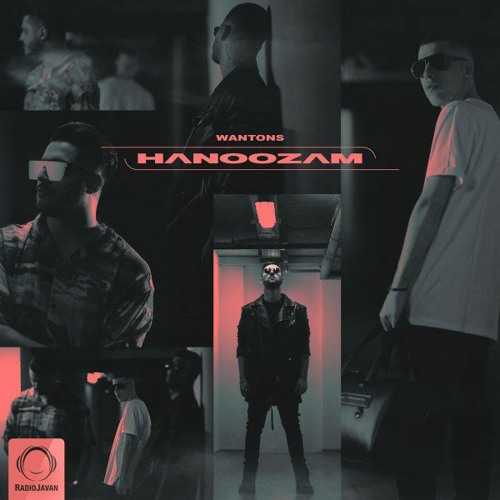 Hanoozam Wantons