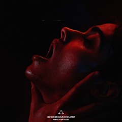 Simone Ciaramidaro - Realm of Acid (Original Mix) - MNNS Records