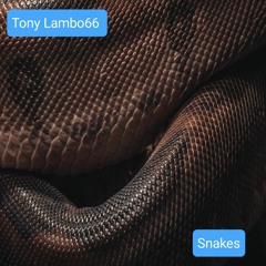 Snakes.wav