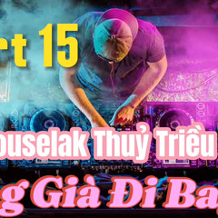 Ong Gia Di Bay 2024  Part 15  Houselak Thuỷ Triều
