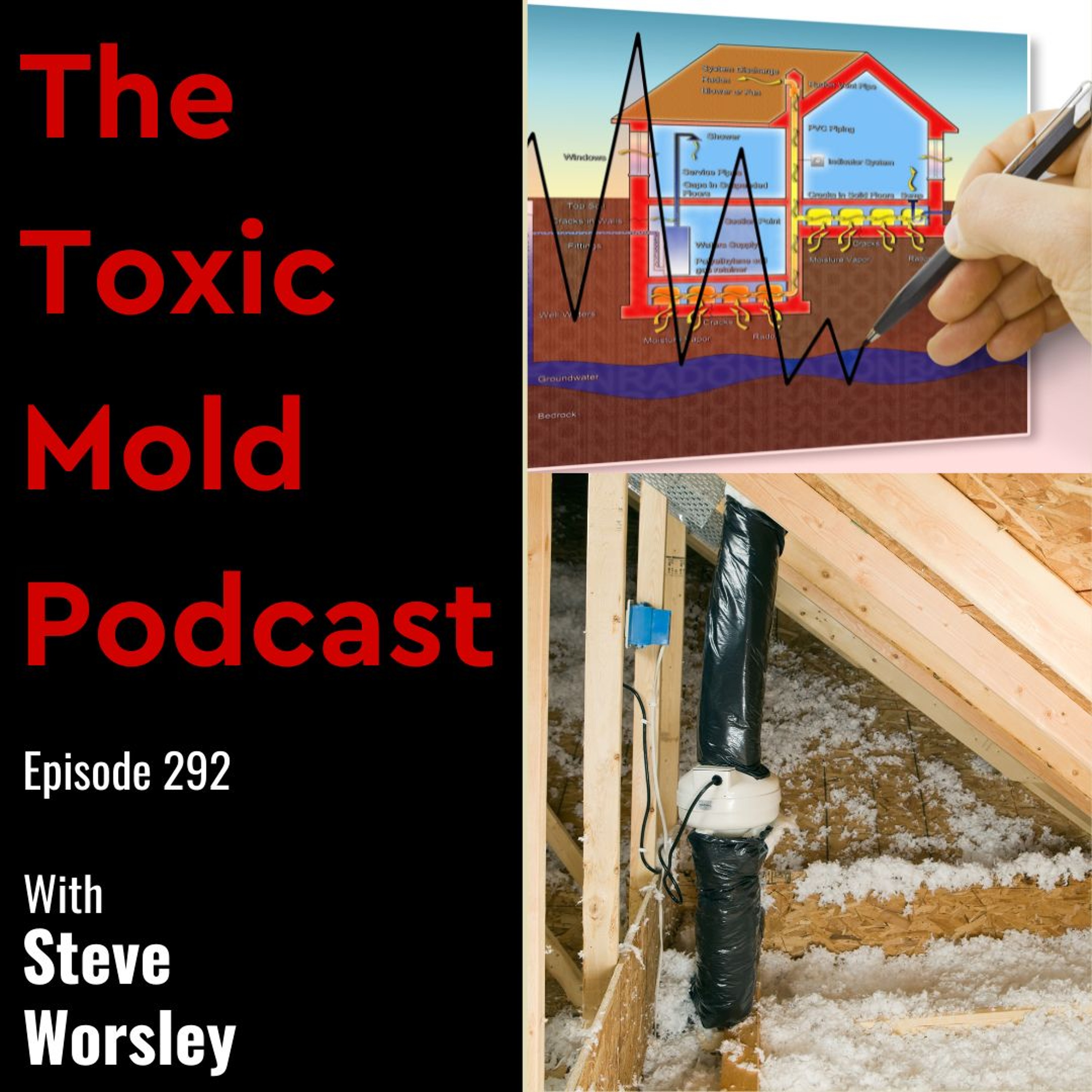 The Toxic Mold Podcast