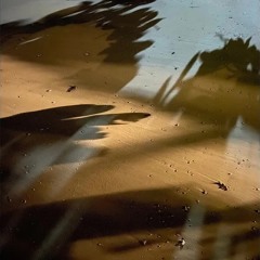 Riccardo - Potalastars (Original Mix)