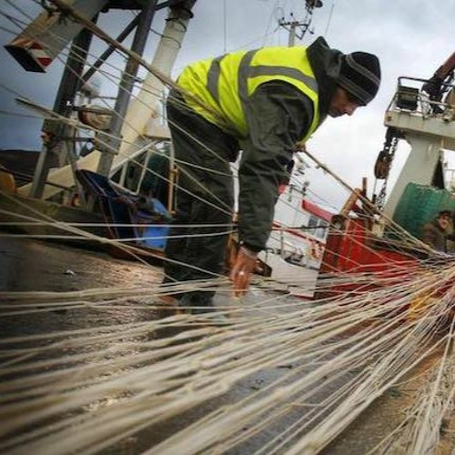 Irish Fish Processors Stream CEO IRISH FISH PROCESSORS AND EXPORTERS BRENDAN BYRNE by Afloat ...