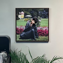 يا العقاب ~ آل مره