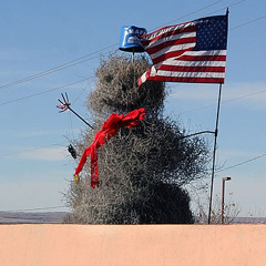 회전초 선호 가녹.mp3