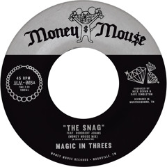 The Snag (feat. DeRobert Adams)